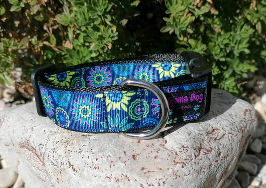 Kijomadog Hundehalsband 2.5cm "Aika"