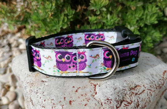 Kijomadog Hundehalsband 2.5cm "Lola"