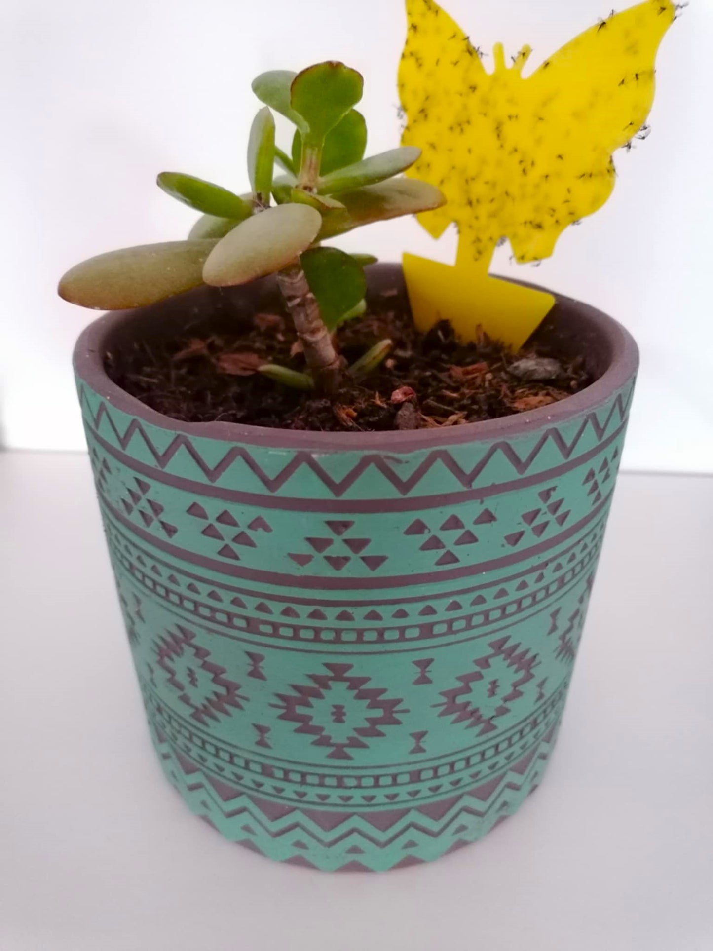 15x Gelbstecker / Gelbfalle