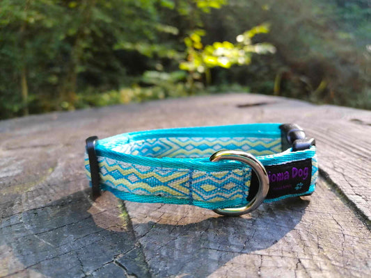 Kijomadog Hundehalsband 2cm "Aslan"