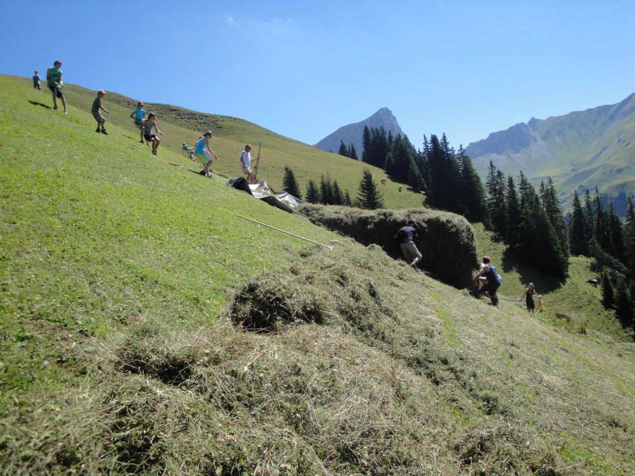 Bergheukissen Hirschfamilie 20 x 35 cm