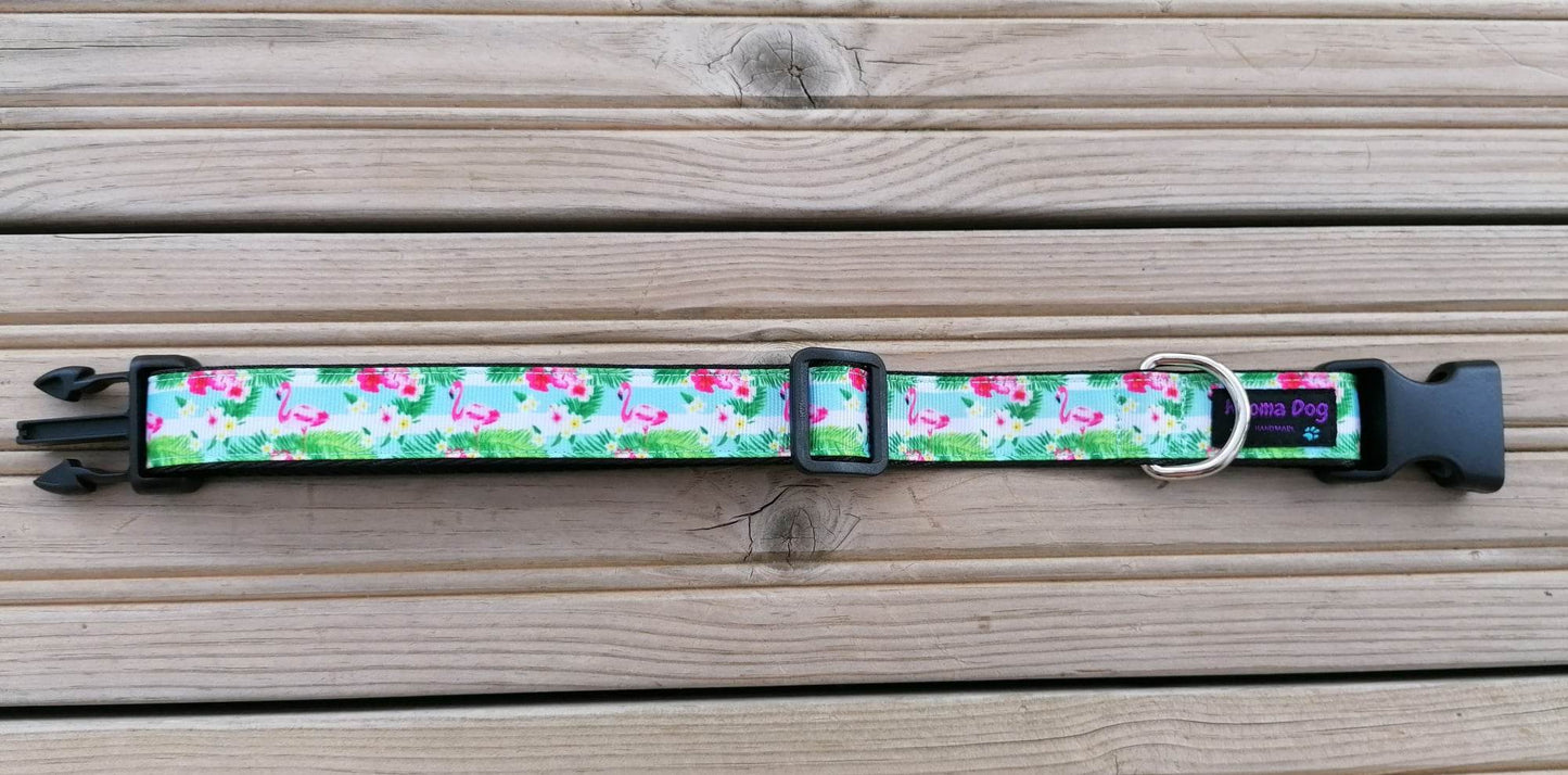 Kijomadog Hundehalsband 2.5cm "Jolin"