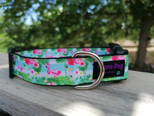 Kijomadog Hundehalsband 2.5cm "Jolin"