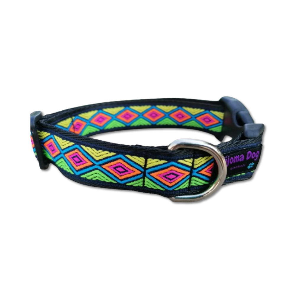Kijomadog Hundehalsband 2.5cm "Kimali"