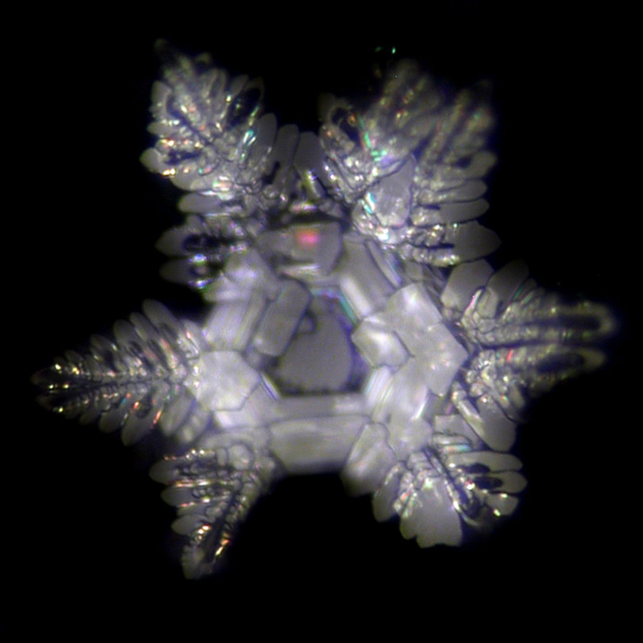 Vitalkaraffe Phoenix 1L