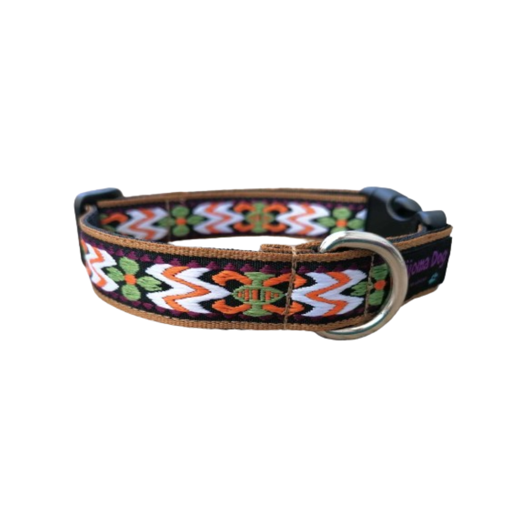 Kijomadog Hundehalsband 2cm "Maui"