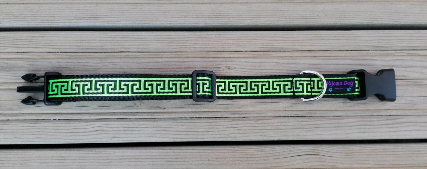 Kijomadog Hundehalsband 2.5cm "Paco"