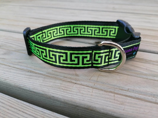 Kijomadog Hundehalsband 2.5cm "Paco"