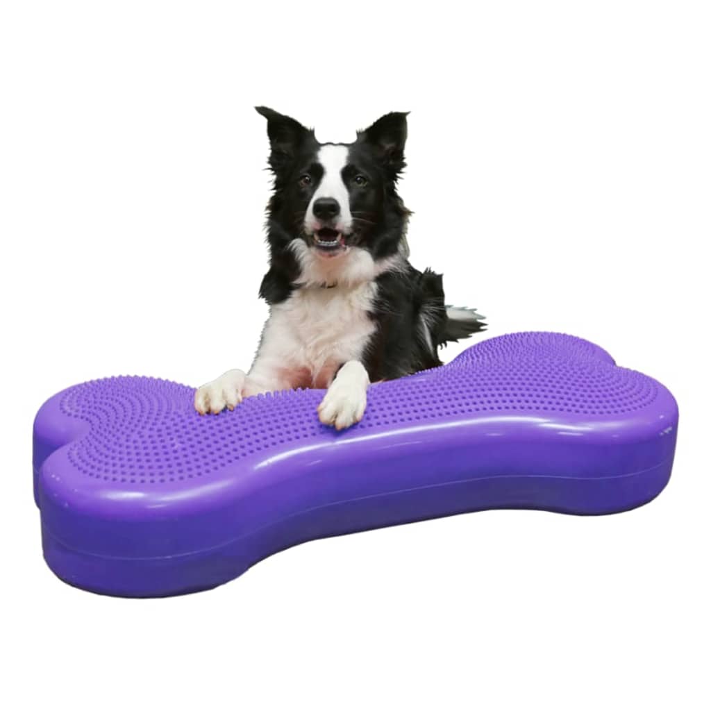 FitPAWS Haustier-Balancierscheibe Giant K9FITbone PVC Lila