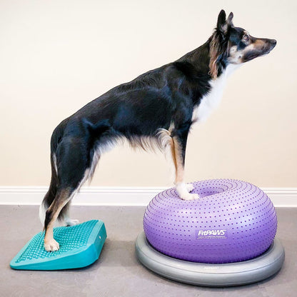 FitPAWS Balance-Rampe für Hautiere 35x35x7 cm Blau