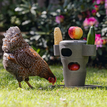 Beeztees Hühner Snack-Turm 30x30x32,5 cm Grau