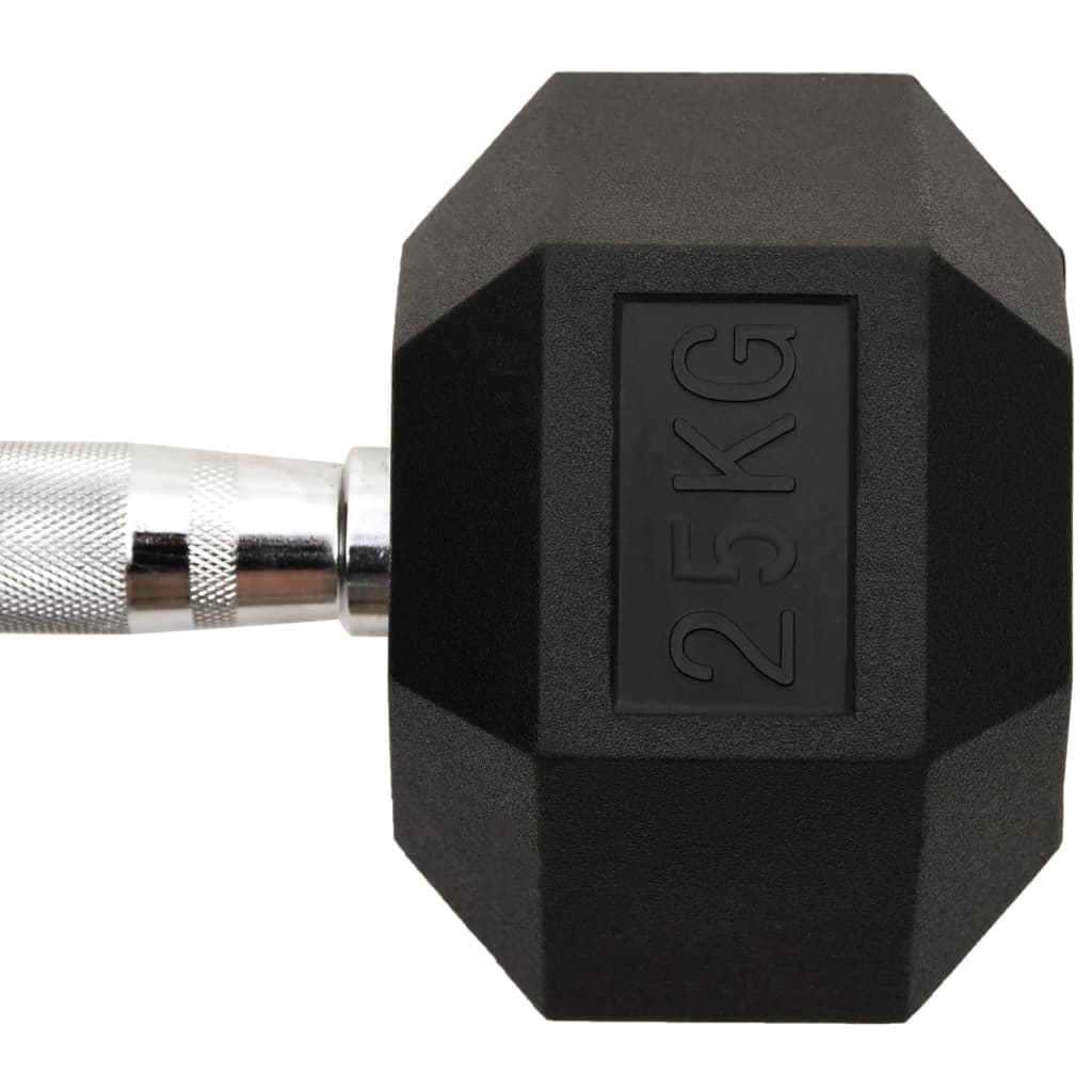 Kurzhantel 25 kg Gusseisen