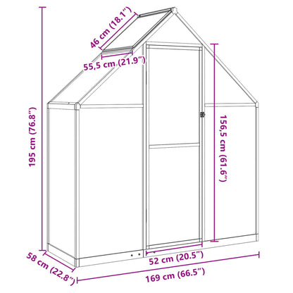 Gewächshaus mit Fundamentrahmen Silbern 169x58x195cm Aluminimum