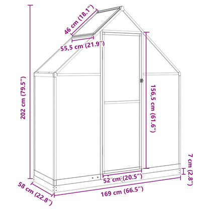 Gewächshaus mit Fundamentrahmen Silbern 169x58x202cm Aluminimum