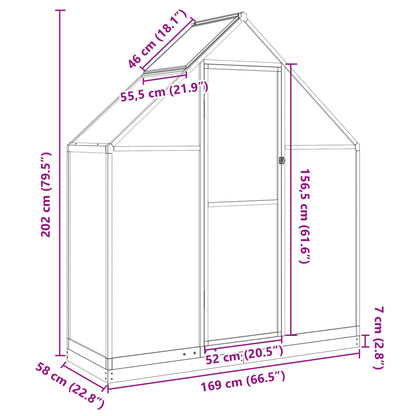 Gewächshaus mit Fundamentrahmen Grün 169x58x202 cm Aluminimum