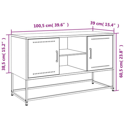 TV-Schrank Schwarz 100,5x39x60,5 cm Stahl