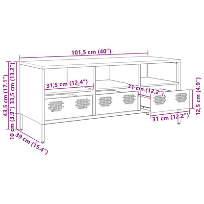 TV-Schrank Anthrazit 101,5x39x43,5 cm Kaltgewalzter Stahl