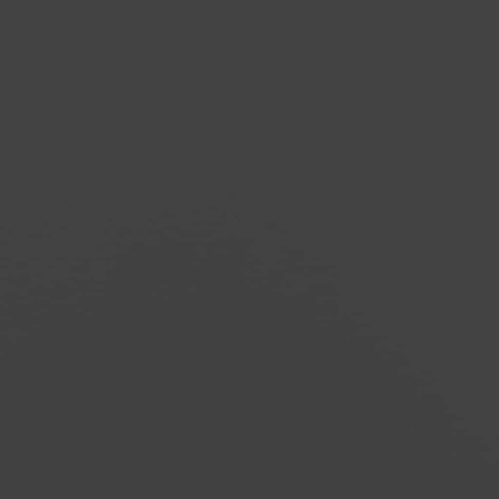 Brennholzregal Schwarz 60x25x100 cm Kaltgewalzter Stahl