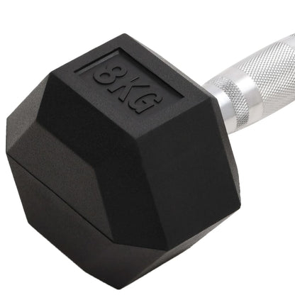 Kurzhanteln 2 Stk. 16 kg Gesamt Gusseisen