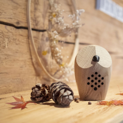 ALPKLANG - HUURI Waldklang