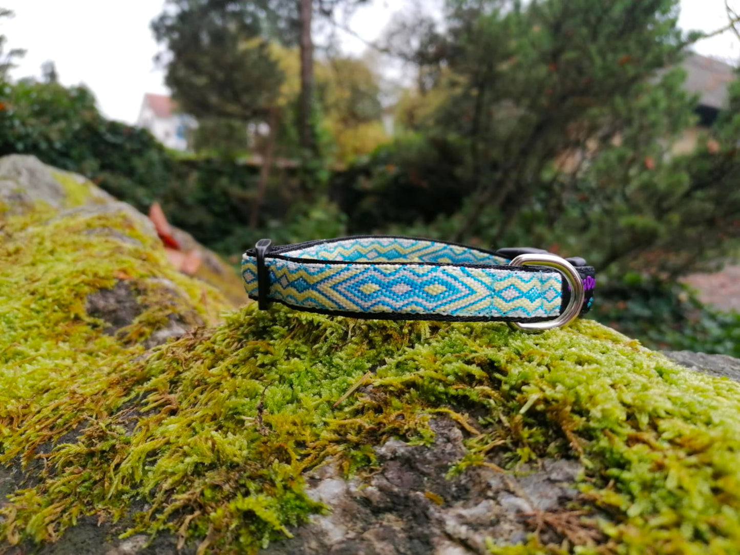 Kijomadog Hundehalsband 1,5cm "Aslan"