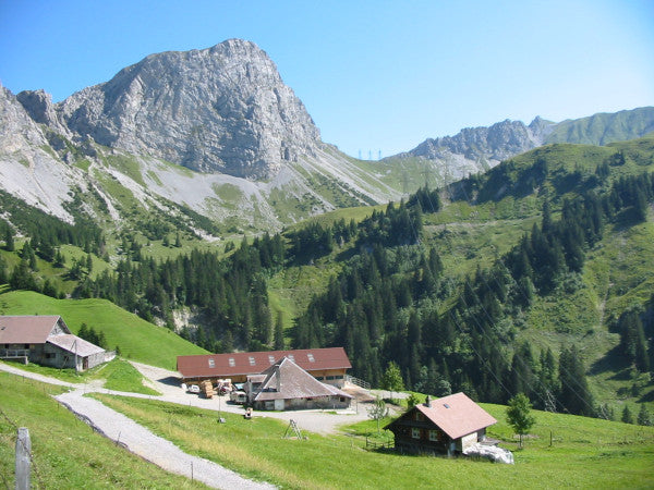 Bergheukissen Ethno 35 x 35 cm