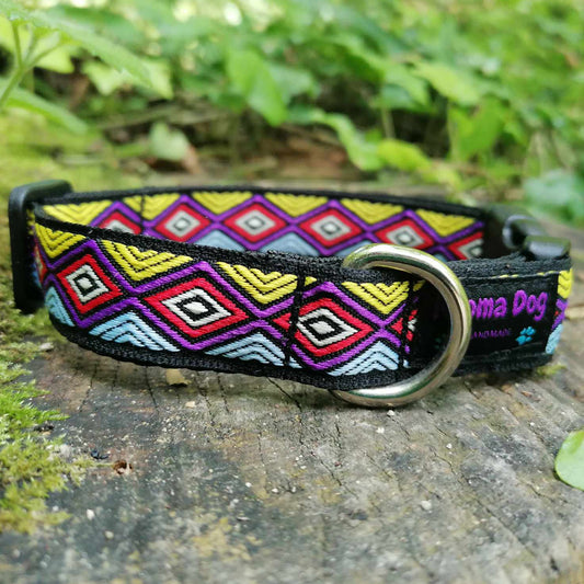 Kijomadog Hundehalsband 2cm  "Janeiro"