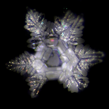 Vitalkaraffe Phoenix 1L