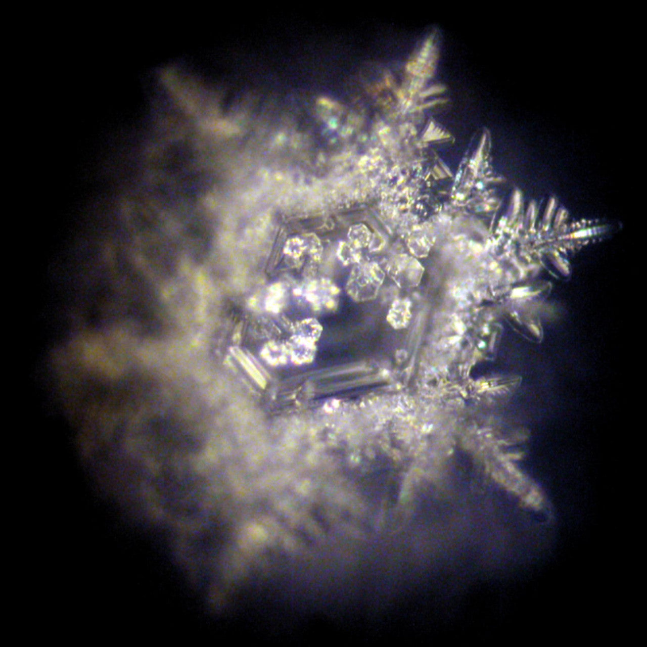 Vitalkaraffe Beauty Platin mit Glaseinsatz 5L