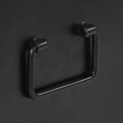 TV-Schrank Altholz Massiv 120x30x40 cm