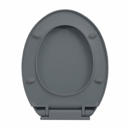 Toilettensitz mit Absenkautomatik Quick-Release Grau Oval