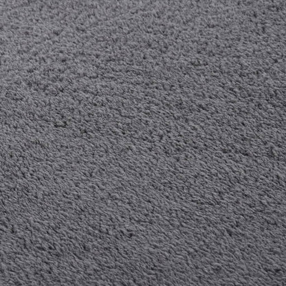 Teppich Waschbar Flauschig Kurzflor 160x230 Rutschfest Anthrazi