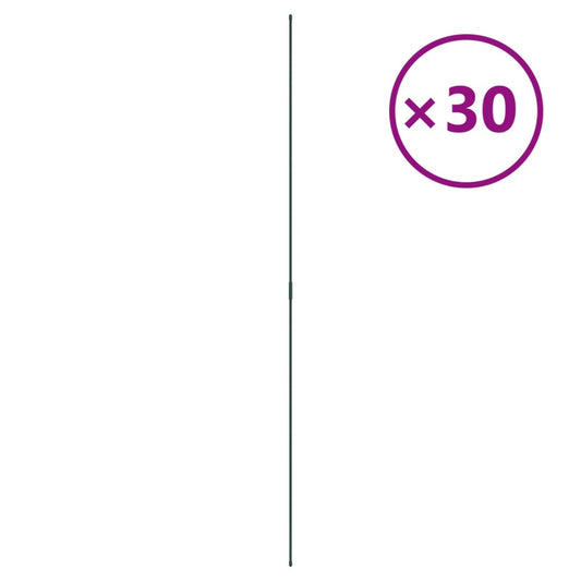 Pflanzenstützen 30 Stk. Grün 180 cm Stahl